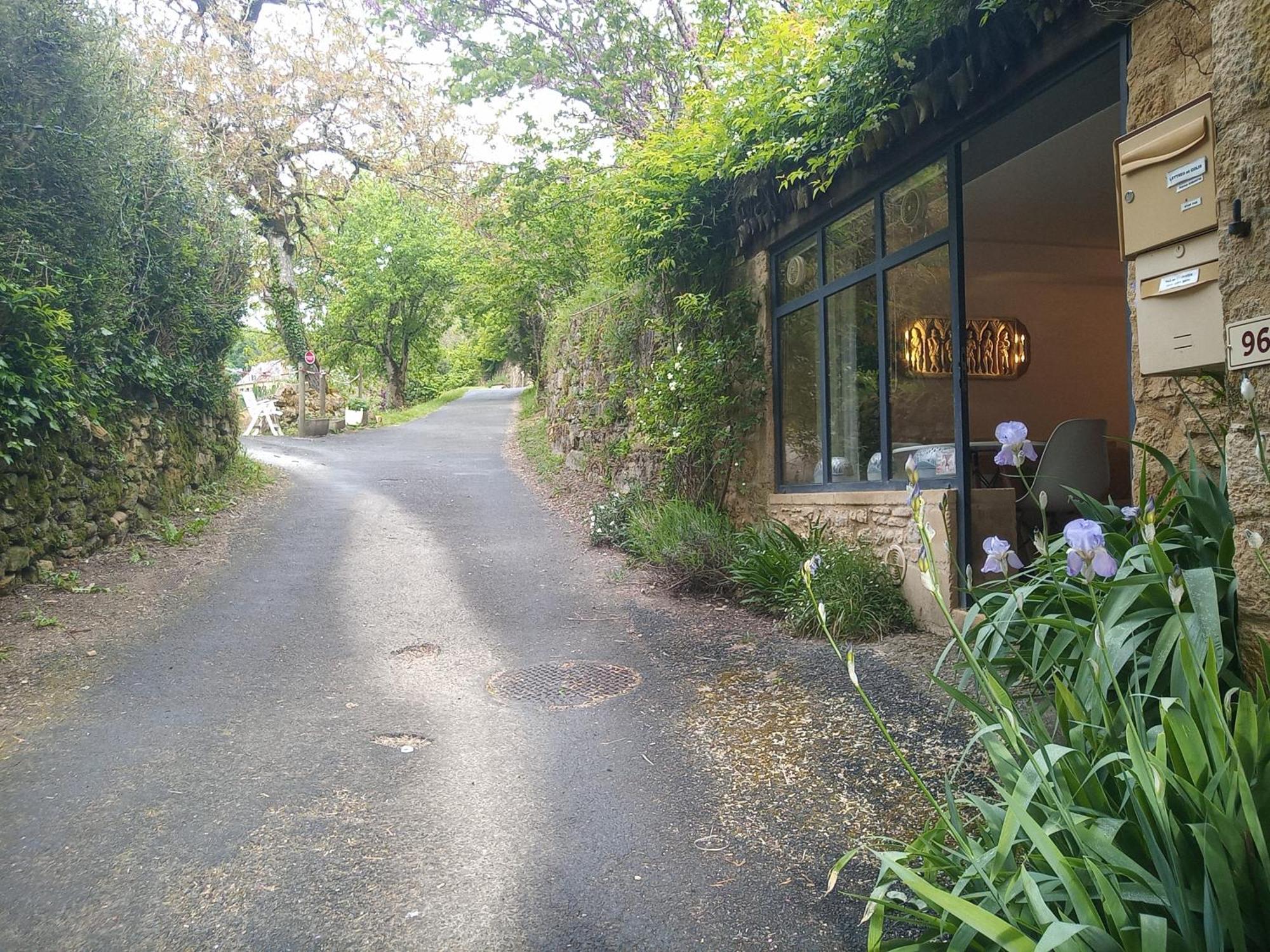 Chambre Du Sabotier - Studio Troglodytique - A 100 M Baignade En Riviere - Location De Canoe - Circuits Cyclo - Aire De Pique-Nique - 3 Restaurants Castelnaud La Chapelle Bagian luar foto